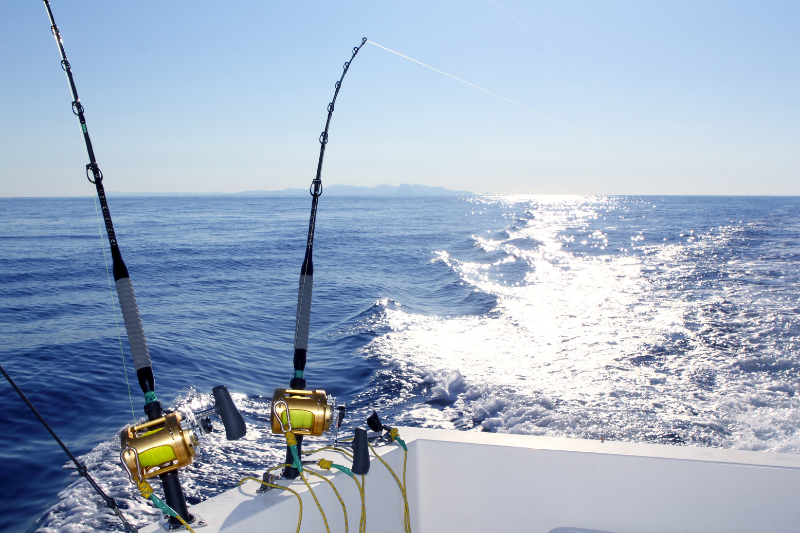 Deep Cycle vs Starting Batteries: What Boat Owners Need