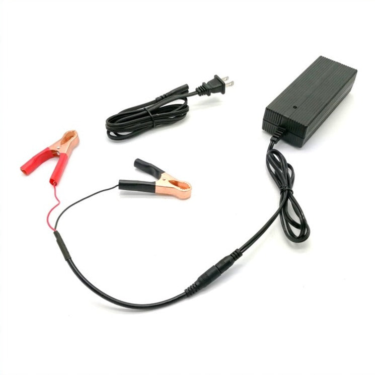 29.2V 2A Alligator Charger for 24V LiFePO4 Batteries | Bioenno Power